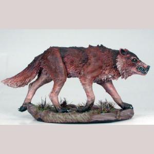 Mehr Bilder von Jagdwolf