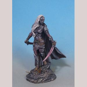 Female Dark Elf Warrior - Dual Wield