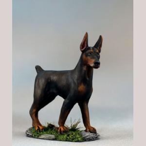 Doberman Pinscher Dog