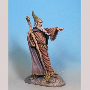 Sturm - Male Wizard with Staff