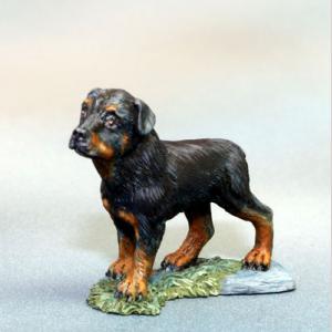 Rottweiler Dog